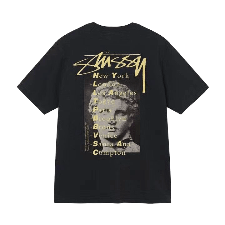 Stussy Statue Pig Dyed Tee