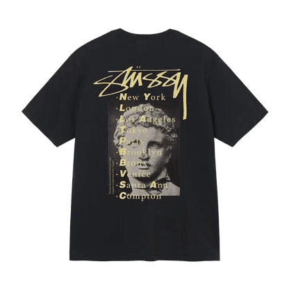 Stussy Statue Pig Dyed Tee
