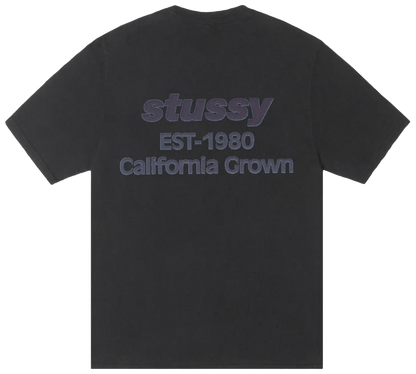Stussy California Tee