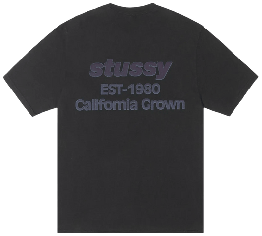 Stussy California Tee