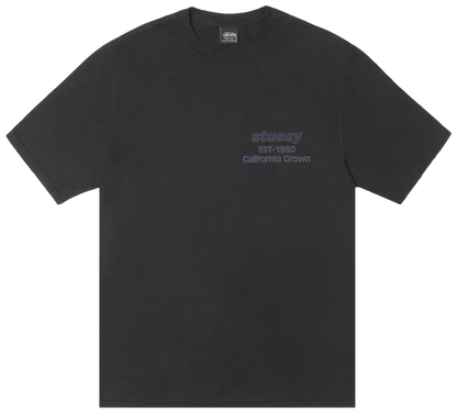 Stussy California Tee