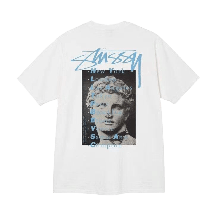 Stussy Statue Pig Dyed Tee